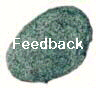  Feedback 